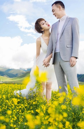 最近客片--金色花海