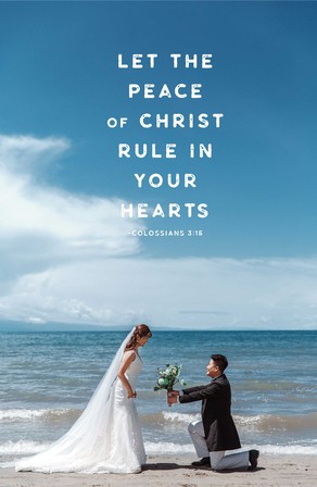 客片大赏--【青海湖畔Ⅱ】