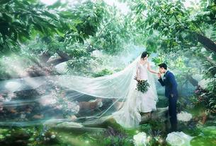 微光森灵-客照 西安婚纱影楼