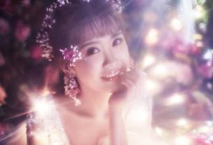 花森解语-客照 西安婚纱照价格