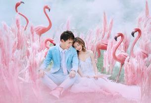 火烈鸟传说-客照  西安婚纱摄影前十名
